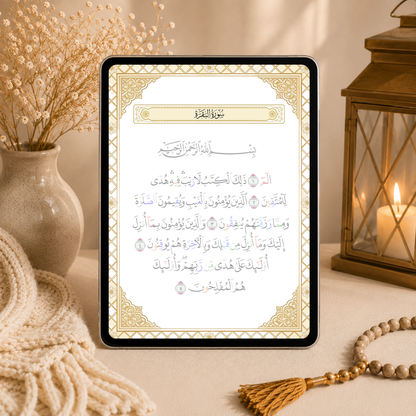 Quran · Tajweed Calligraphie PDF